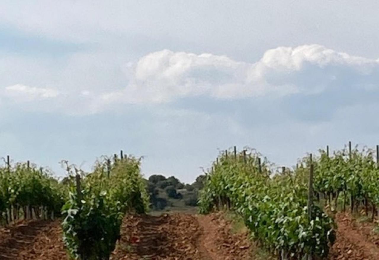 Apartamento Turistico Cerca Aranda De Duero La Ren Lecres Vadocondes 外观 照片